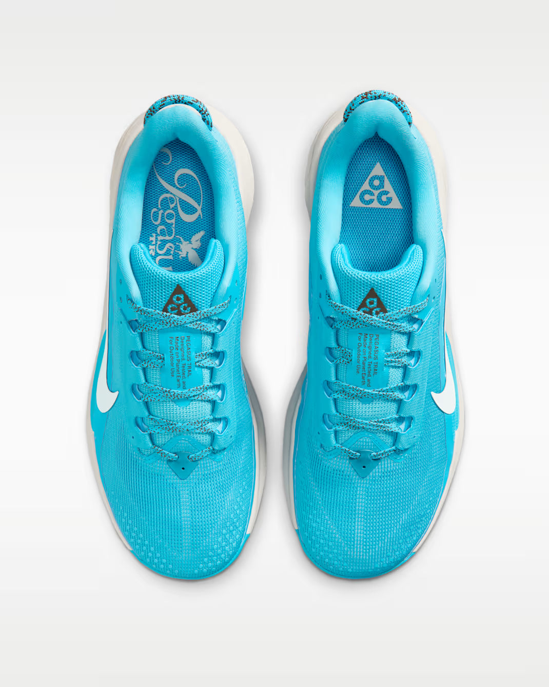 Nike ACG Pegasus Trail Men's (Baltic Blue/Light Orewood Brown/Ironstone/Summit White)