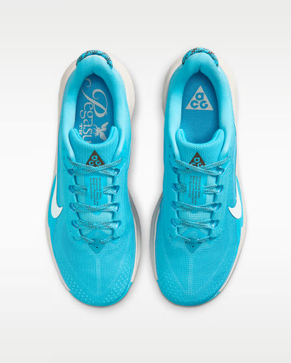 Nike ACG Pegasus Trail Men's (Baltic Blue/Light Orewood Brown/Ironstone/Summit White)