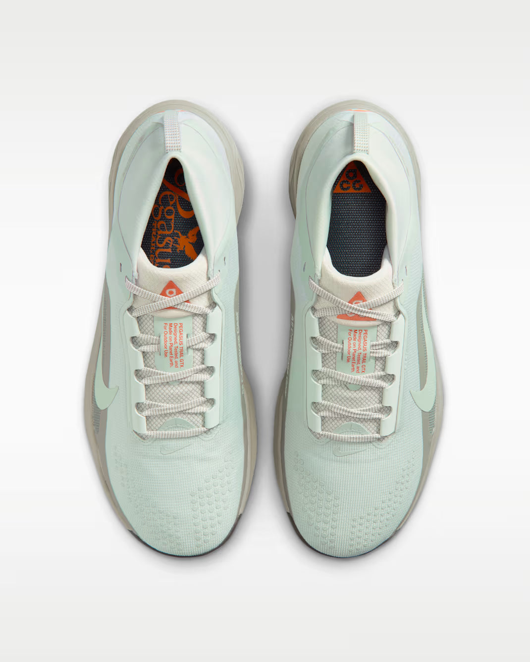 Nike ACG Pegasus Trail GTX Men's (Light Silver/Light Silver)