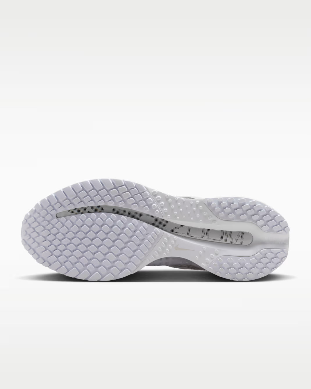Pegasus Premium Women's (White/Metallic Silver/Metallic Silver)